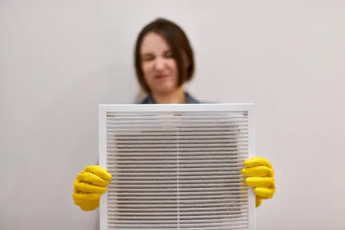 Air-Duct-Cleaning--air-duct-cleaning.jpg-image